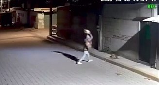 Perro agredido en Miahuatlán será homenajeado en la Feria de Puebla