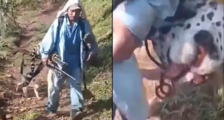 Denuncian racismo en caso de indígena ayuujk acusado de matar a jaguar