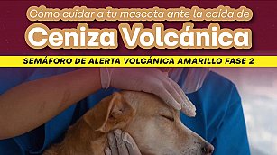 ¡Protege tu salud y la de tus mascotas! Recomendaciones de Atlixco