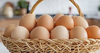 Profeco revela cómo elegir y conservar correctamente los huevos