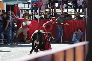 Vive la emoción de la “Panotlada” en la Feria de Panotla: tradición y adrenalina