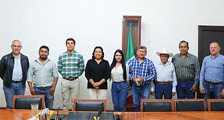 Puebla refuerza su liderazgo en producción de sorgo con nuevas estrategias