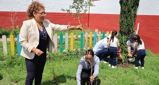 Con jornadas de reforestación SMDIF Cuautlancingo conmemora el Día Mundial del Medio Ambiente