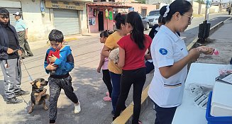 Ariadna Ayala impulsa vacunación antirrábica gratuita en Atlixco