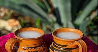 Anuncian la décima edición de la “Feria del Pulque y Derivados del Maguey” en San Andrés Cholula