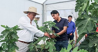 UTTecam impulsa la educación agrícola con módulos hidropónicos