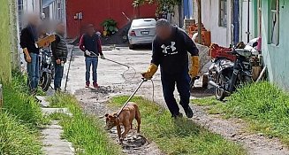Tlaxcala interviene en Acuitlapilco para garantizar bienestar animal y seguridad