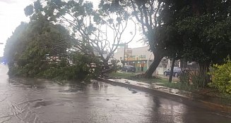 Lluvias en Puebla causan daños; Protección Civil reporta saldo blanco