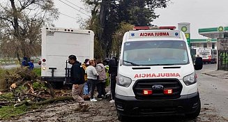 Camión sin frenos choca contra árbol en Paseo Tollocan; conductor ileso