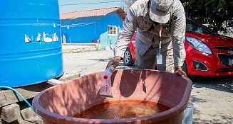 Tehuacán sigue siendo el municipio con más casos de dengue en Puebla