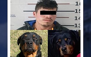 Vinculan a proceso a joven por envenenar a dos perros en Chignahuapan