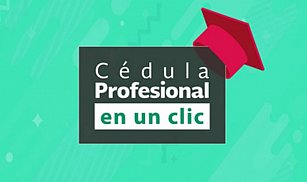 ¿Cómo verificar la cédula profesional de tu médico? Guía rápida y gratuita