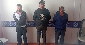 Detienen a “Los Capotes” por saqueo forestal en la Malinche