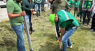 Partido Verde realiza jornada de reforestación en San Martín Texmelucan