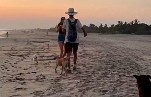 Extranjera agrede a perro y a hombre en playa de Oaxaca