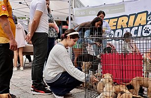 Atlixco impulsa el bienestar animal con más de 200 adopciones
