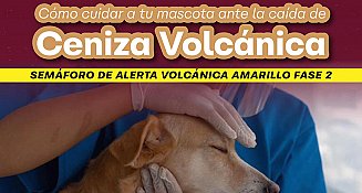 ¡Protege tu salud y la de tus mascotas! Recomendaciones de Atlixco