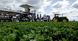 Tlaxcala enfrenta baja económica, pero destaca en sectores clave