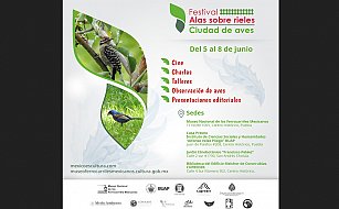 Festival Alas Sobre Rieles 2025: arte, ciencia y naturaleza en Puebla
