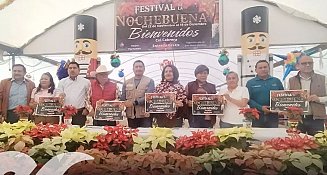 Festival de la Nochebuena 2024 en Atlixco: plantas, artesanías y más