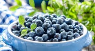 Moras azules: Beneficios para la memoria y metabolismo