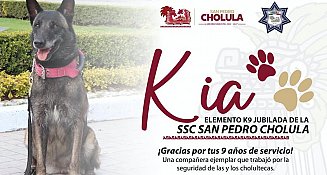 Kia, la heroína de cuatro patas de San Pedro Cholula jubilada tras nueve años de servicio