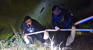 Hombre que cayó a la laguna en Misiones de San Francisco es rescatado por paramédicos