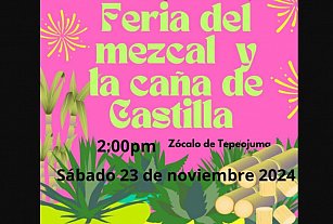 ¡No te pierdas la Primera Feria del Mezcal y Caña de Castilla en Tepeojuma!