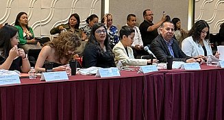 Niño de Tlaxcala representará a la infancia en el Consejo Nacional SIPINNA