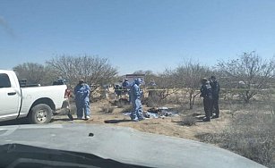 Hallan ocho cuerpos en fosas clandestinas en la costa de Hermosillo