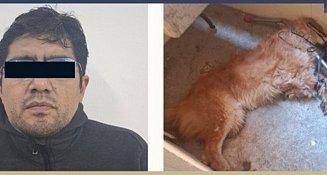 Prisión preventiva por crueldad animal en Puebla