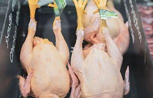 Trucos para elegir y conservar el pollo fresco en el supermercado