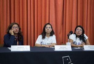 Estrategias autónomas y transparentes objetivos del Observatorio de Perspectiva de Género Feminista