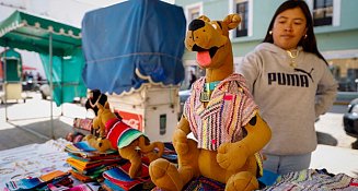 ¡Guaguarongos! Ponchos artesanales para mascotas que protegen del frío y celebran la tradición tlaxcalteca