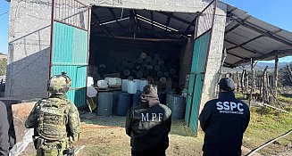 Fuerzas federales desmantelan dos narcolaboratorios en Tlaxcala