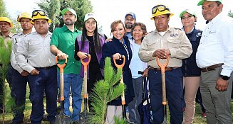 Encabezan jóvenes Jornada de Reforestación en Tlaxcala