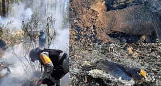 Emergencia ambiental evidencia carencias en la CBA: OCPA