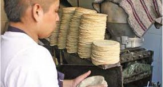 El precio de la tortilla en Tlaxcala se mantiene estable: 18 pesos por kilo