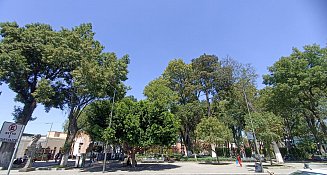Proceso abierto y transparente para renovar la CEDH de Tlaxcala