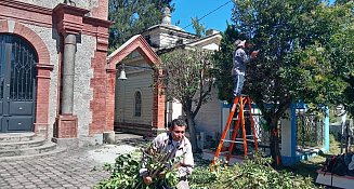 ¡Mantenimiento intensivo en el panteón municipal por Día de Muertos!