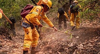 Conafor reporta 129 incendios forestales activos en México