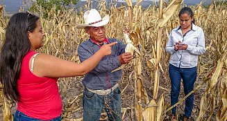 Inicia dispersión del apoyo económico a productores rurales