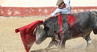 Luis Ignacio Escobedo: Preparación con pasión para triunfar en Huamantla