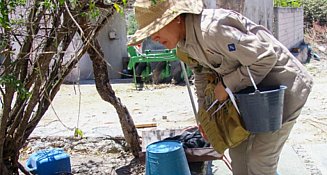 Puebla sin nuevos casos de dengue; acumulados en 4,271, reporta Salud