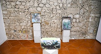  ¡Celebra el Día Internacional de los Museos en Tlaxcala! Actividades para toda la familia