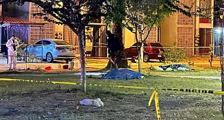 Sheinbaum exige investigar asesinato de madre buscadora en Jalisco