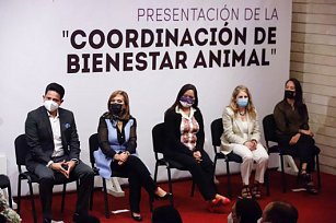 Persisten omisiones de gobierno en cumplimiento a la Ley de Bienestar Animal