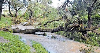 80 familias afectadas por desbordamiento del río en Ixtacuixtla: apoyo inmediato