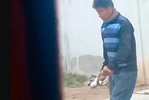 Maltrato animal en Coronango: hombre lanza cachorros con una pala