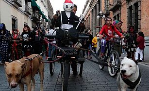 ¡Marcha Siniestra 2024 en Puebla: Disfraces, concurso y concierto sorpresa!